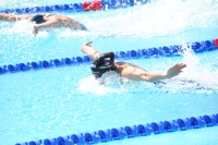 ME23 Nabojcenko small