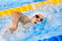 SEEMANOVA 2025 small